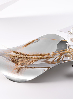 现代简约轻奢不锈钢水果盘创意艺术软装饰品样板房异形银色收纳盘