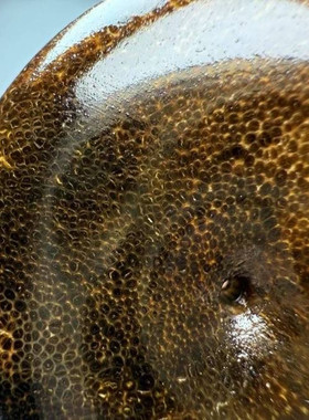 天然收藏级平安扣装饰品吊坠鱼子纹竹丝纹清晰挂件文玩手把件