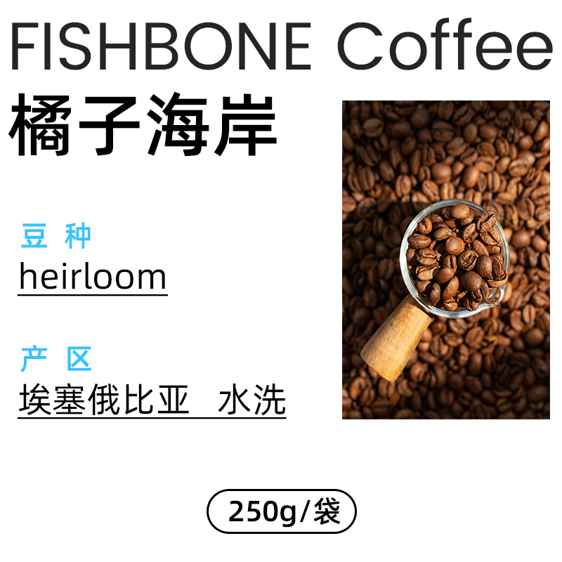 FISHBONE鱼骨咖啡 橘子海岸耶加雪菲SOE意式咖啡豆手冲单品咖啡豆 - 图2