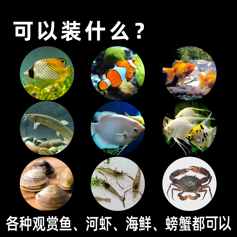 装鱼袋活鱼塑料包装氧气袋海鲜快递观赏鱼水族打包袋透明充氧加厚 - 图3