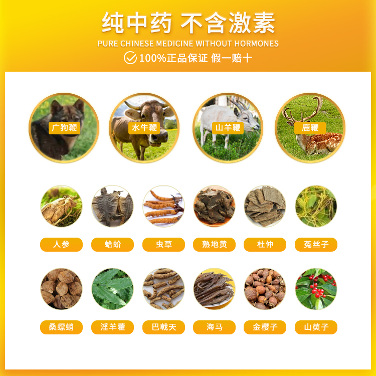 香港进口海狗丸官方旗舰店港版补肾壮阳早泄用手过度锁阳固精阳痿