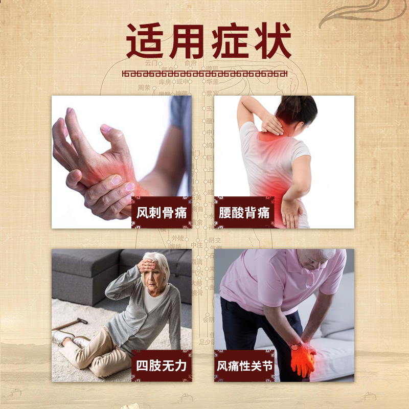 印尼壮骨通脉丹风湿骨痛关节疼痛酸舒经活络四肢无力虫草灵芝48粒