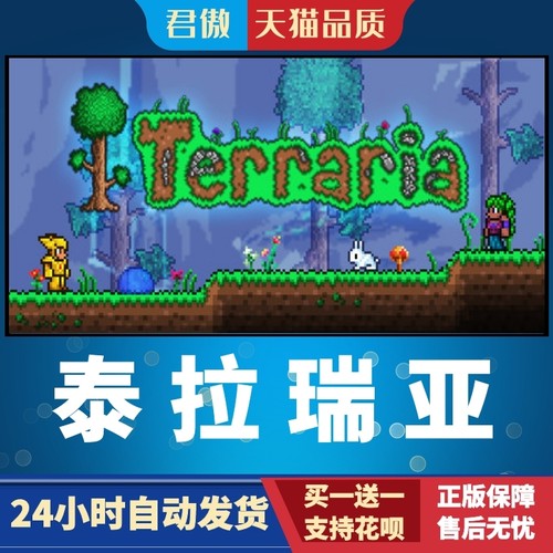 Steam Pc正版游戏泰拉瑞亚terraria 沙盒联机游戏国区礼物阿根廷礼物白号成品号