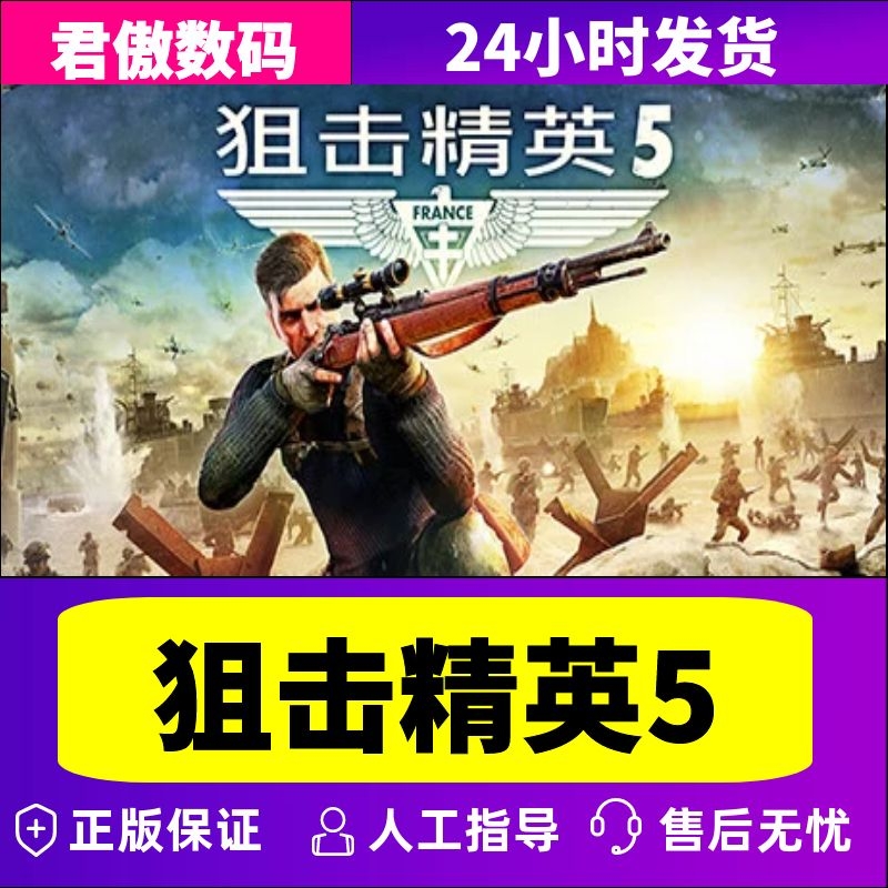 Steam PC正版游戏 狙击精英5 Sniper Elite 5 射击 动作冒险 君傲数码 - 图2