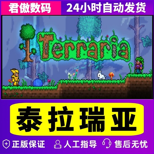 Steam Pc正版游戏泰拉瑞亚terraria 沙盒联机游戏国区礼物阿根廷礼物白号成品号
