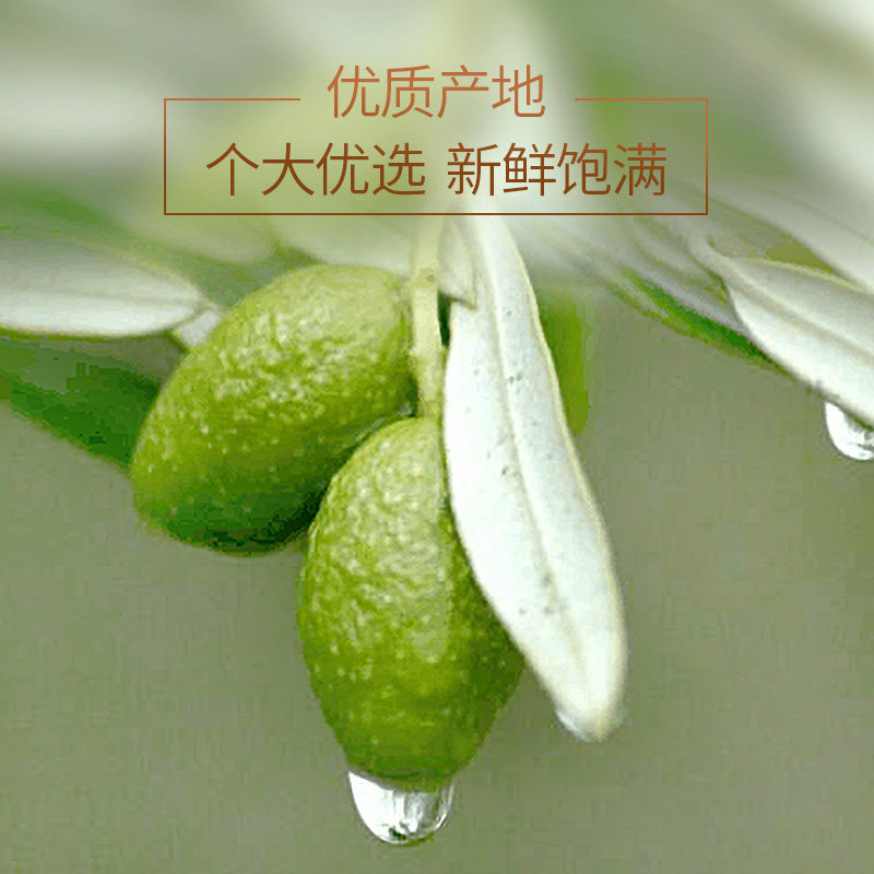  腾康元养生茶