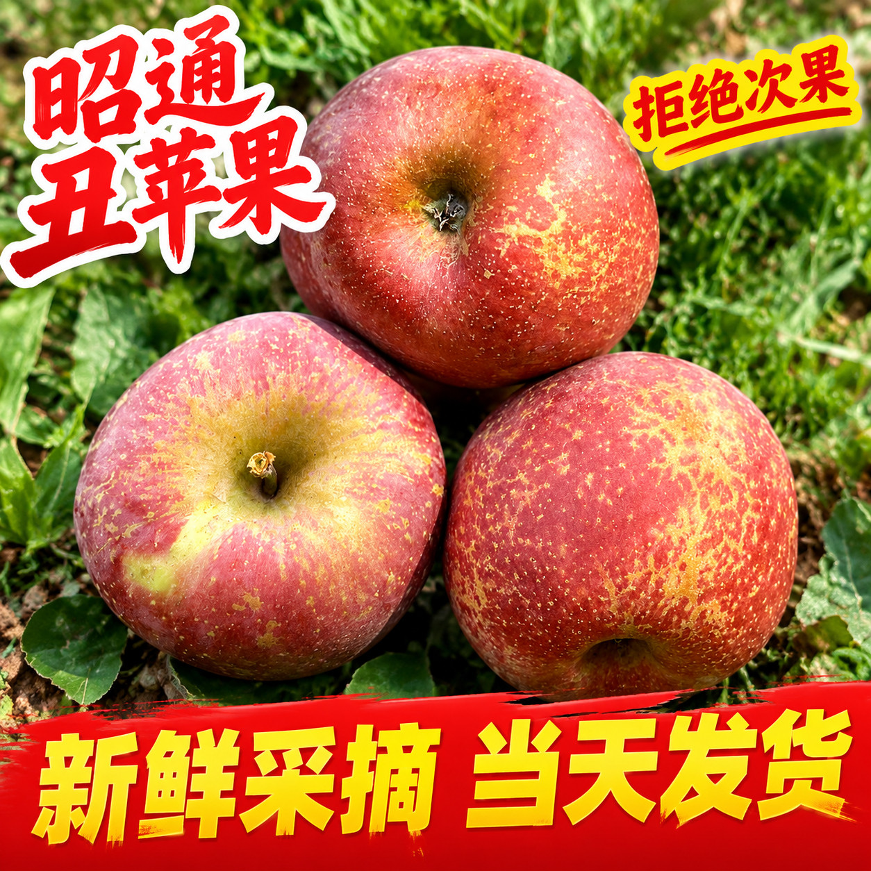 图 2