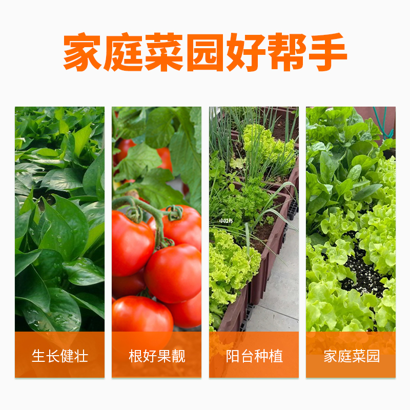 豆角盆栽地栽专用营养肥豇豆阳台盆栽家庭菜园催花膨果四季通用肥 - 图1