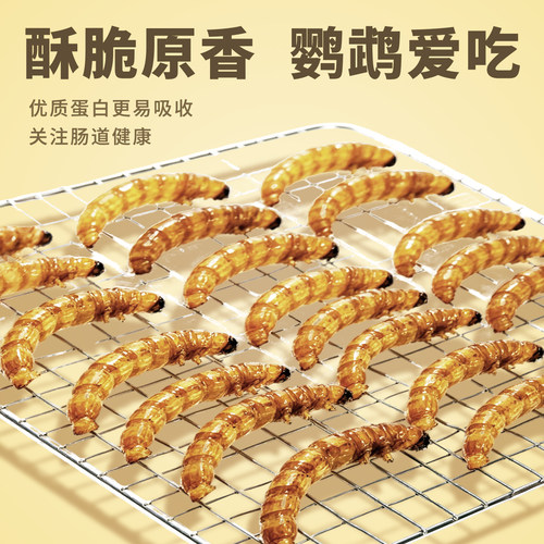 鹦鹉鸟粮饲料专用面包虫干虎皮牡丹玄凤小太阳和尚训练用奖励零食 - 图0