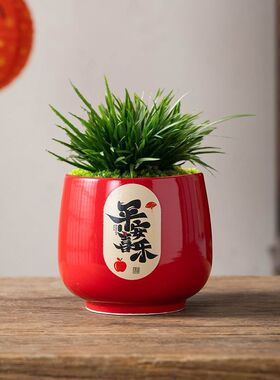 多肉花盆陶瓷中国风祝福词创意个性透气简约桌面装饰轻奢红色小盆