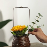 Разное бамбуковое редактирование цветочной сосуды