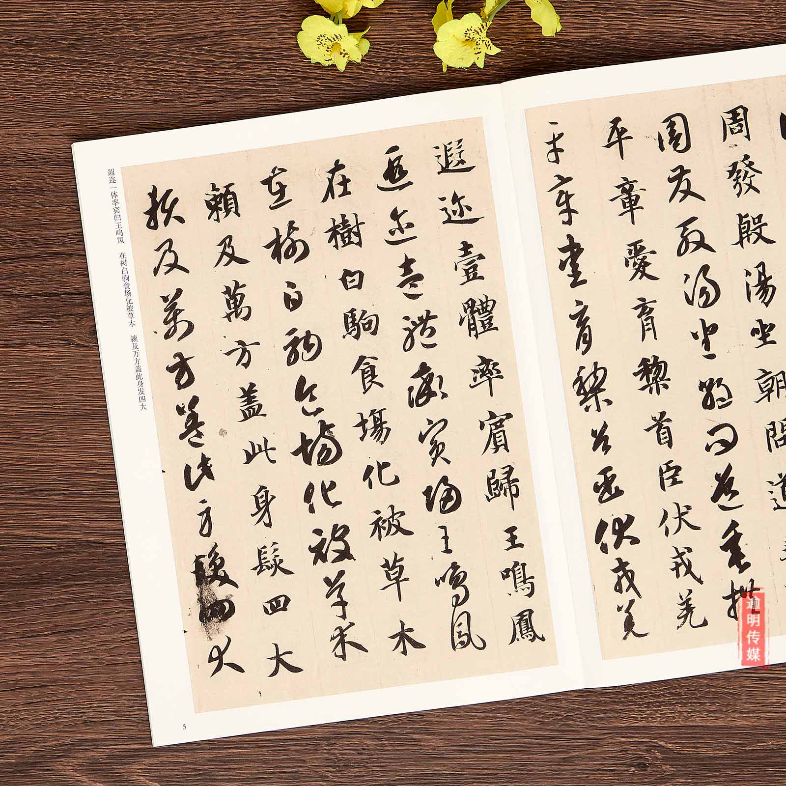 智永真草千字文书法字帖历代碑帖精粹草书字帖毛笔书法智勇真书千字文_虎窝淘