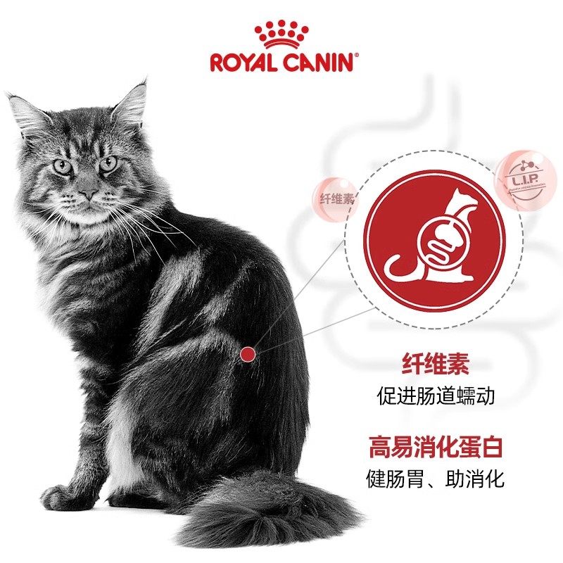 【10件起拍】皇家进口营养肉块猫湿粮罐头成猫主食罐头猫粮,淘宝优惠券,粉丝福利购,淘宝优惠卷