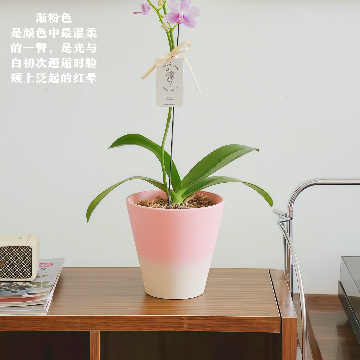 简约花盆渐变色客厅桌面绿植陶土蝴蝶兰绿植盆栽透气大口径送托盘,淘宝优惠券,粉丝福利购,淘宝优惠卷