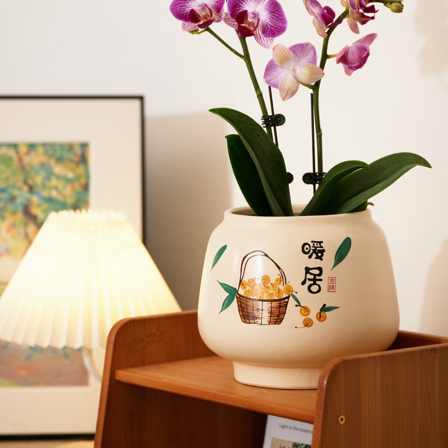 花盆陶瓷简约新款喜气风节日治愈美学客厅桌面蝴蝶兰文心兰送托盘,淘宝优惠券,粉丝福利购,淘宝优惠卷