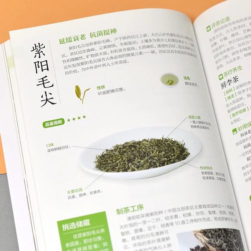中国茶入门图鉴 从喝茶到懂茶的中国茶文化手册 全新图解版 实用茶学茶艺百科全图鉴 中国茶经大观品茶鉴茶茶道书籍爱上花草茶养生 - 图2