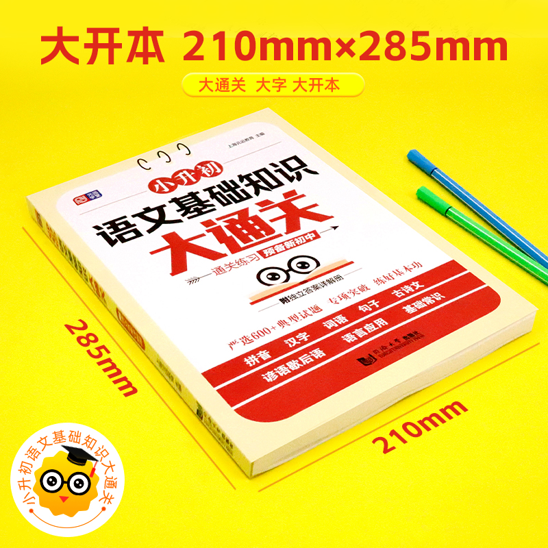 小升初 语文基础知识大通关 小学语文总复习 3~6年级语文专项训练 通关练习 预备新初中 元远教育 同济大学出版社