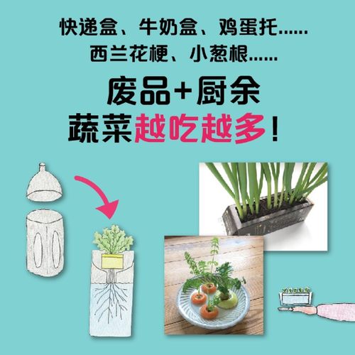 【新华书店旗舰店官网】水培菜在家种(变废为宝的水培种菜指南) 畑明宏 手绘图解 20种蔬菜 360天种植计划 家庭阳台种菜书籍 中信 - 图1