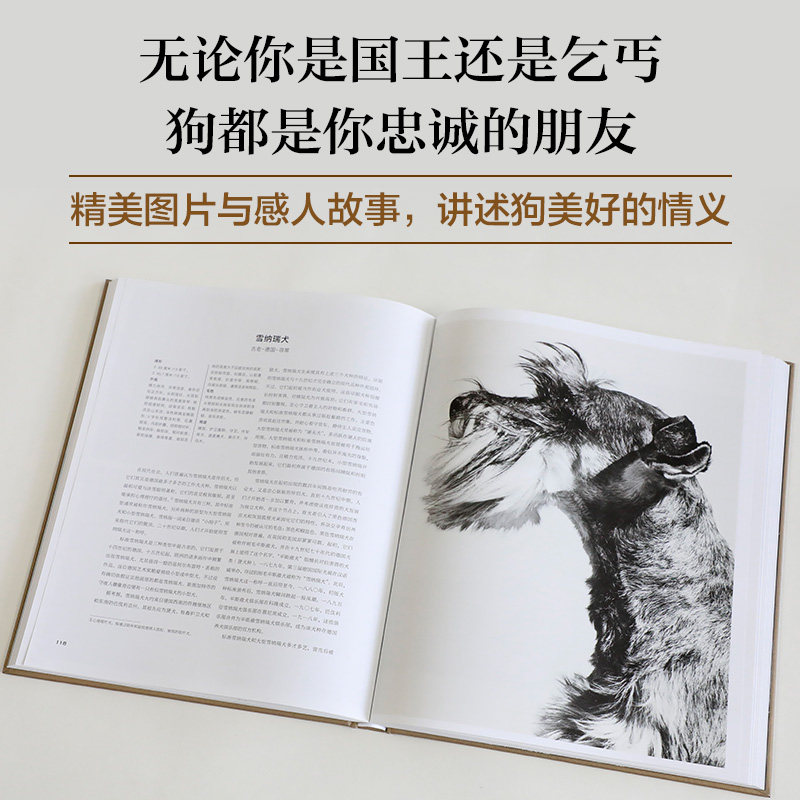 【新华书店旗舰店官网】正版包邮 狗的情义 爱狗养狗读物 精装珍藏四色全彩精美图片 视觉盛宴科普读物生物世界