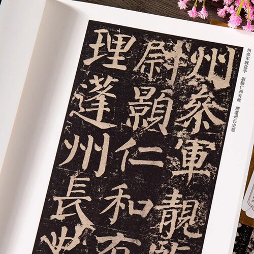 任选】唐 颜真卿 多宝塔碑/颜勤礼碑/麻姑仙坛记/颜家庙碑/祭侄文稿等 传世碑帖精粹 简体旁注 楷书毛笔碑帖字帖 正版 - 图2