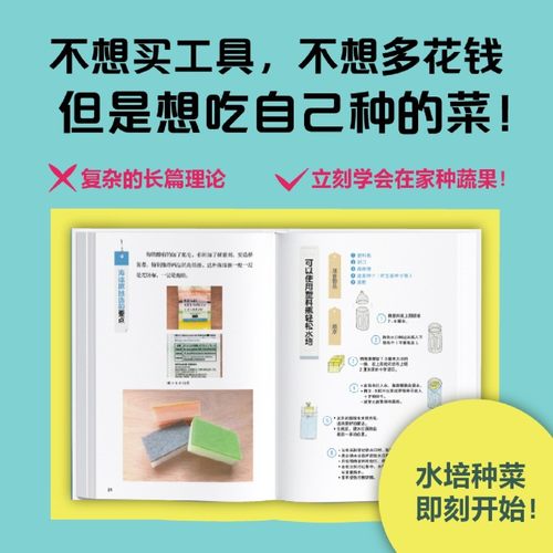 【新华书店旗舰店官网】水培菜在家种(变废为宝的水培种菜指南) 畑明宏 手绘图解 20种蔬菜 360天种植计划 家庭阳台种菜书籍 中信 - 图0