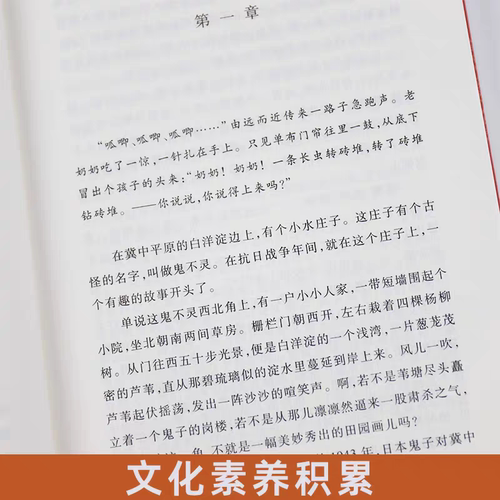 【新华书店旗舰店官网】小兵张嘎四五六年级课外阅读书籍正版徐光耀儿童读物小学生阅读理解10-12岁四五六年级小学生课外阅读故事 - 图1