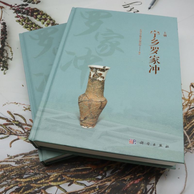 宁乡罗家冲:全二册