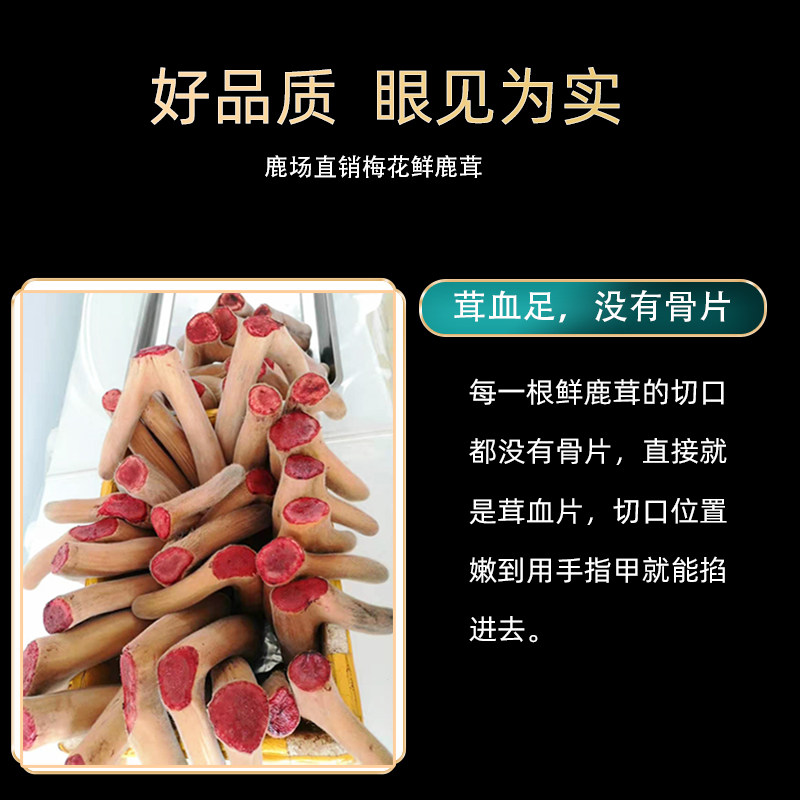 吉林梅花250克整根发货鲜鹿茸 吉猫鹿茸枝