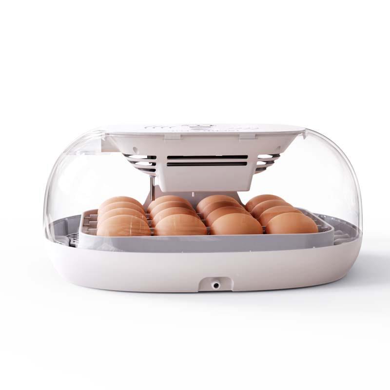 新品16枚鸡蛋孵化器家用小型全自动孵化机一键照蛋畜牧养殖设备-图3