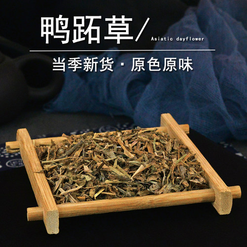 鸭跖草中药材小药仙正品野生鸭舌草干鸭抓草粉鸭拓草碧竹子翠蝴蝶 - 图2