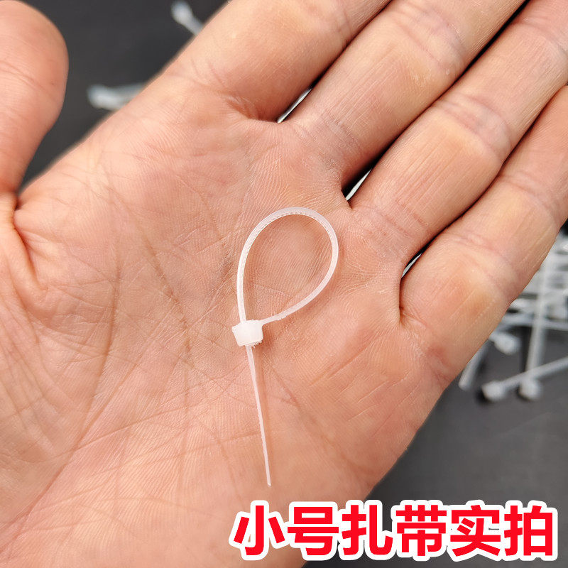 小号尼龙扎带3*60 80 100mm迷你型白色小塑料扎带黑色束线捆绑带,淘宝优惠券,粉丝福利购,淘宝优惠卷