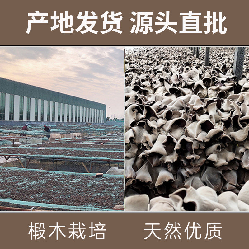 螺小生螺蛳粉柳州正宗螺狮粉大片腐竹广西特产螺丝粉夜宵米粉包邮