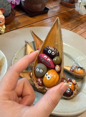 永生花系列油画莲瓢干果冰箱贴天然植物冰箱贴可爱豆子表情疗愈系