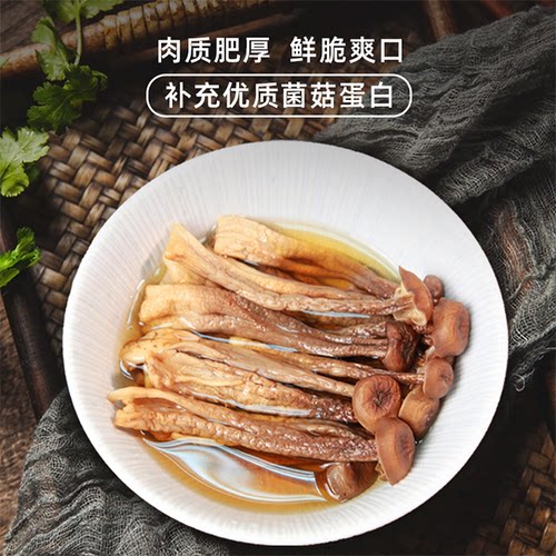 雪榕精品脆菇干货 500g 新鲜鹿茸菌家用炒菜煲汤菌菇山珍 - 图0