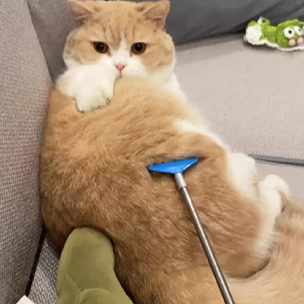 猫咪挠痒痒神器撸猫逗猫棒玩具解闷按摩抓痒可伸缩宠物用品大全 - 图0