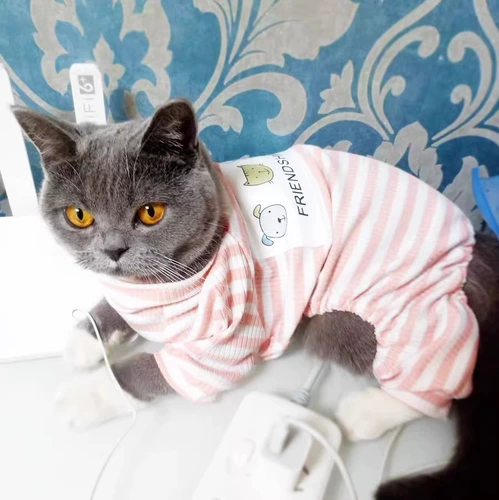 Кошачья одежда Весна и осень, анти -терамы, пижама -куклы, короткий котенок котенка, собака собака ПЭТ -четырех