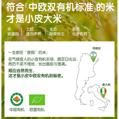 小皮有机米粉婴幼儿营养辅食宝宝米糊谷物粉多口味160g*3盒