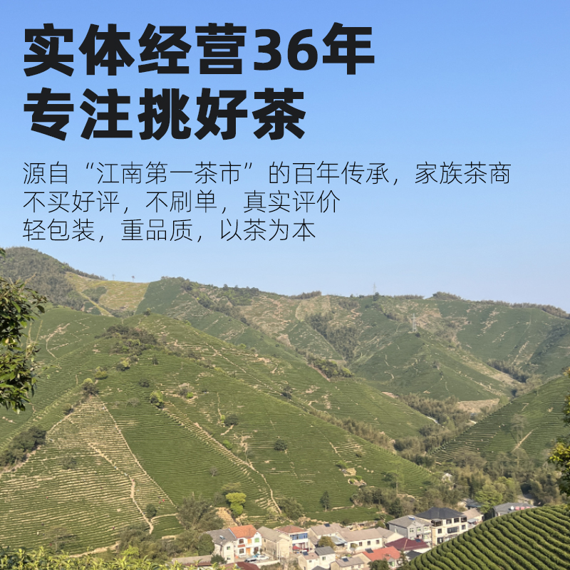 黄山毛峰系列-桂家茶业新茶2024歙县高山深山产回甘口粮高性价比-图1