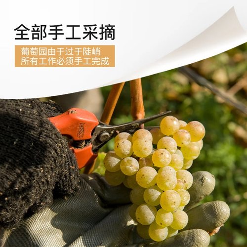 德国Markus Molitor修道山居马库斯雷司令半干白甜白葡萄酒 - 图1