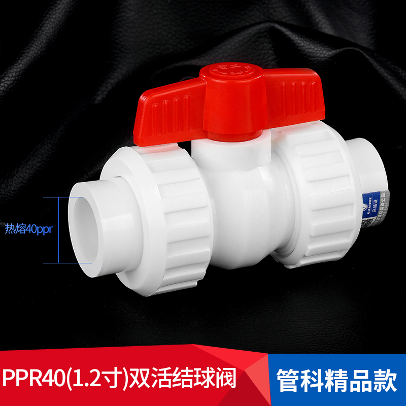 管科20ppr25全塑4分6分双球阀活接接头塑料P热熔水管配件管件阀门 - 图0
