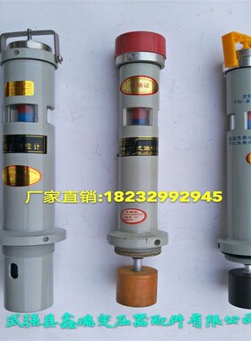 电力变压器配件管式油位计 YW型变压器油箱油位显示油位计 液位器