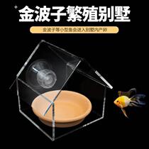 Golden Wave Subbreeding Villa Isolated Box Dogg Breeding Shelf Breeding Pan Hatchbox Short Snapper Acrylic