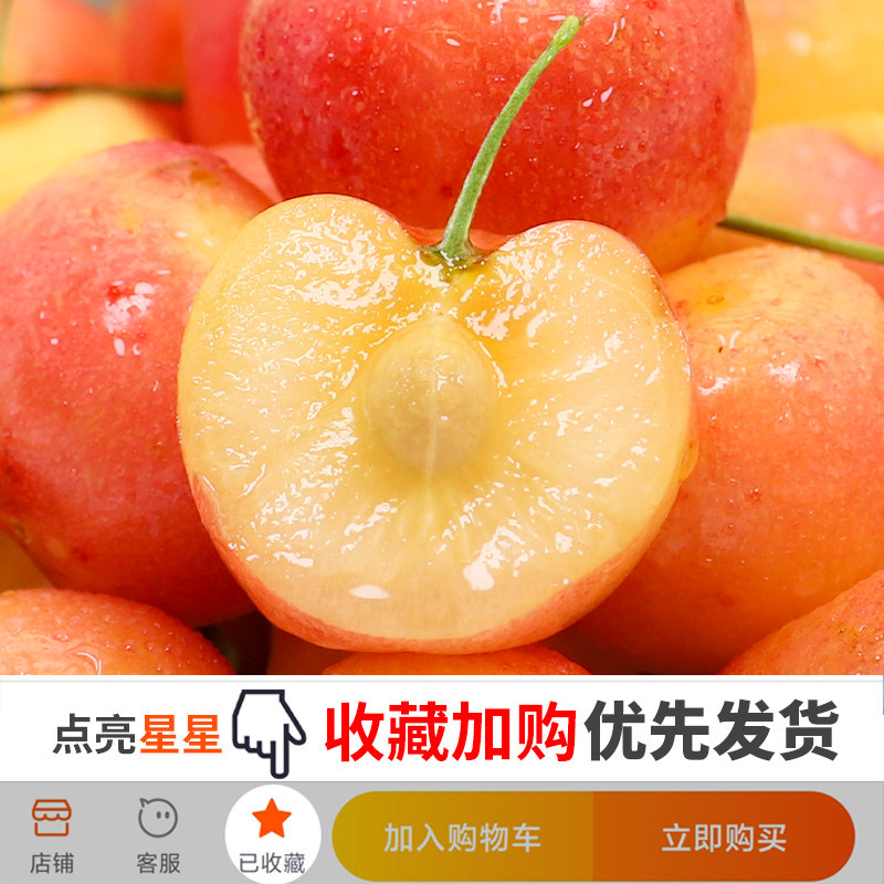  粘鲜车厘子/樱桃