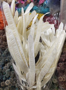 扁豆天然扁豆永生花扁豆干花永生花花艺造型花材昆明直发