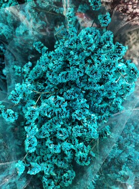 永生花水晶草干花永生花水晶草花艺造型花束插花花材港澳台马境外