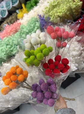 干花永生花千日红永生花草莓果高颜值花束花艺造型手工DIY花材