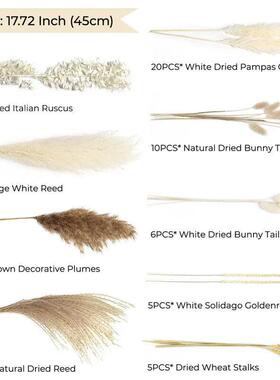80PCS Natural Fully Pampas Grass Bouquet Boho Home Decor Phr