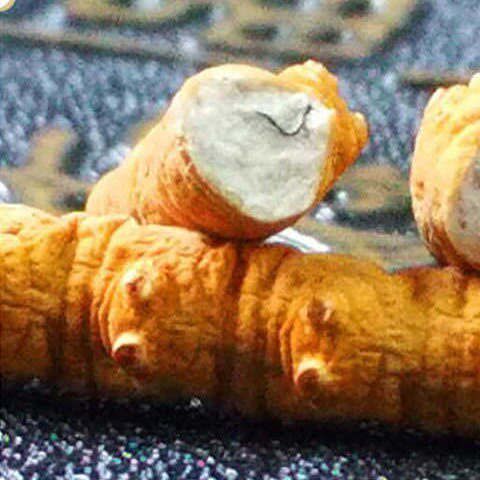 特价 冬虫草虫草野生大根断草断虫草虫体多非藏区冬虫夏草 虫草超市 淘优券