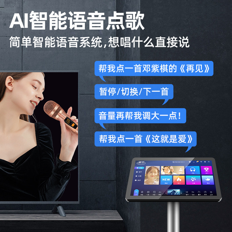 麦亨h7家庭ktv套装全套语音k歌 麦亨KTV/卡拉OK音箱