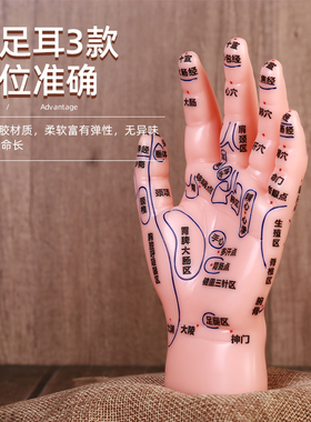 手足脚底按摩中医教学伊冉香约